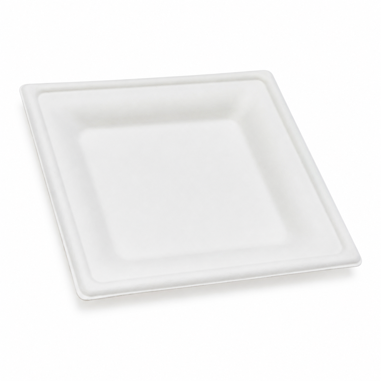 10-inch disposable sugarcane pulp biodegradable paper plate