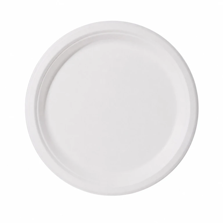 7-inch disposable sugarcane pulp biodegradable paper dinner plate