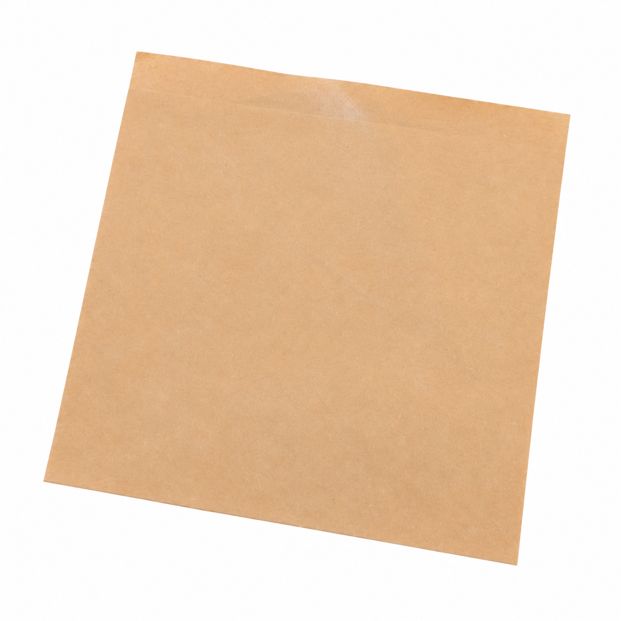 plain kraft-paper bag design