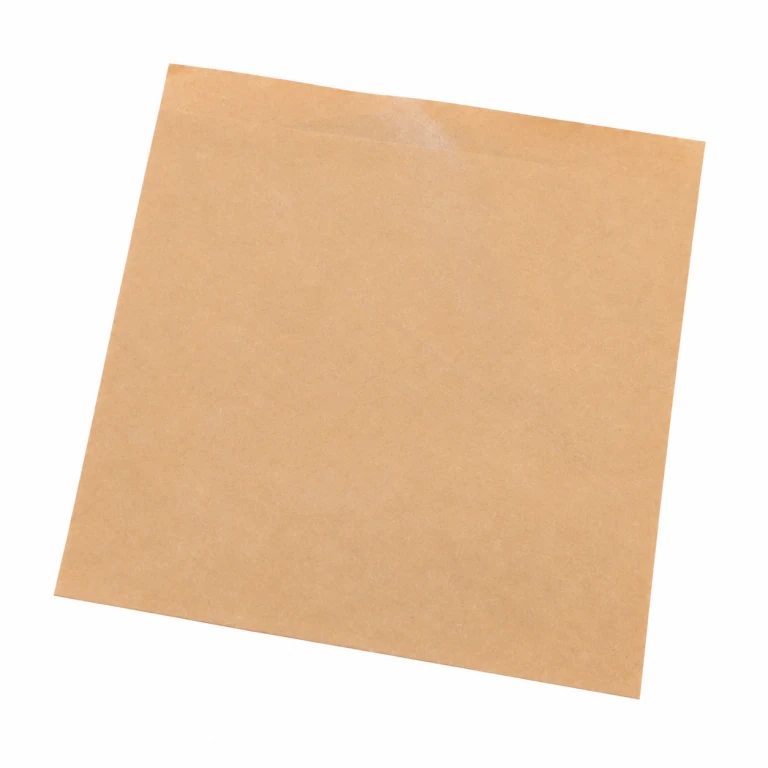 plain kraft-paper bag design