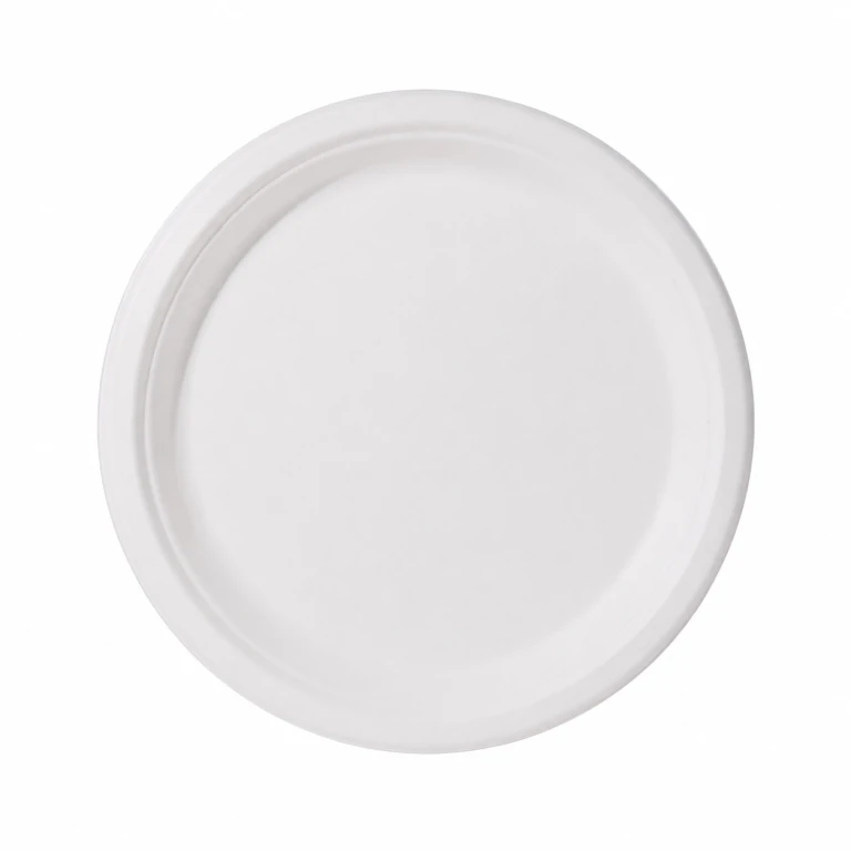 9-inch disposable sugarcane pulp biodegradable paper dinner plate