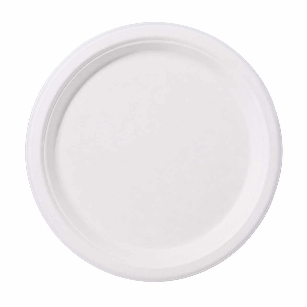 10-inch disposable sugarcane pulp biodegradable paper dinner plate