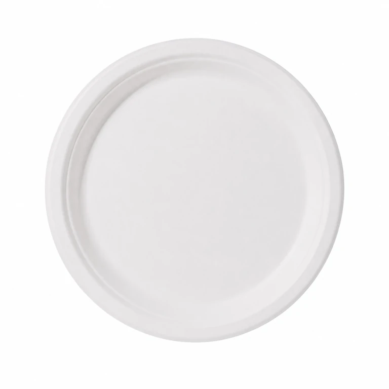 6-inch disposable sugarcane pulp biodegradable paper dinner plate
