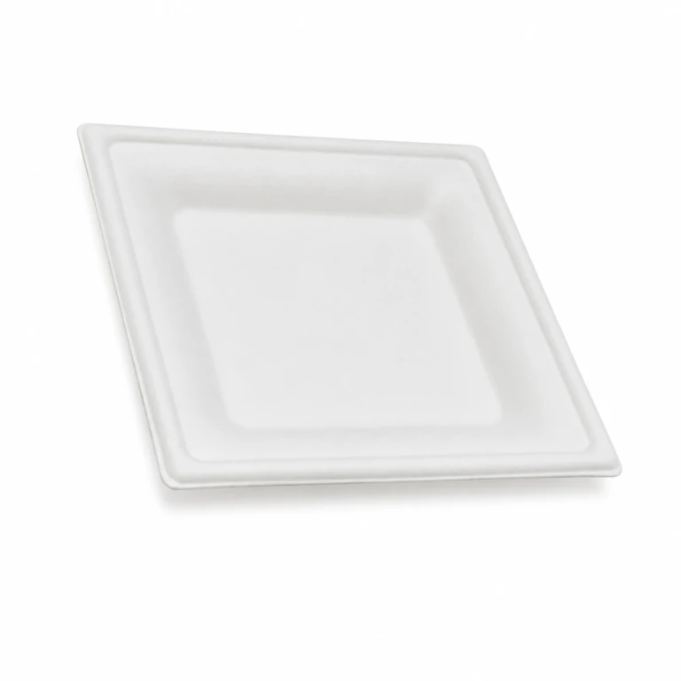6-inch disposable sugarcane pulp biodegradable paper plate
