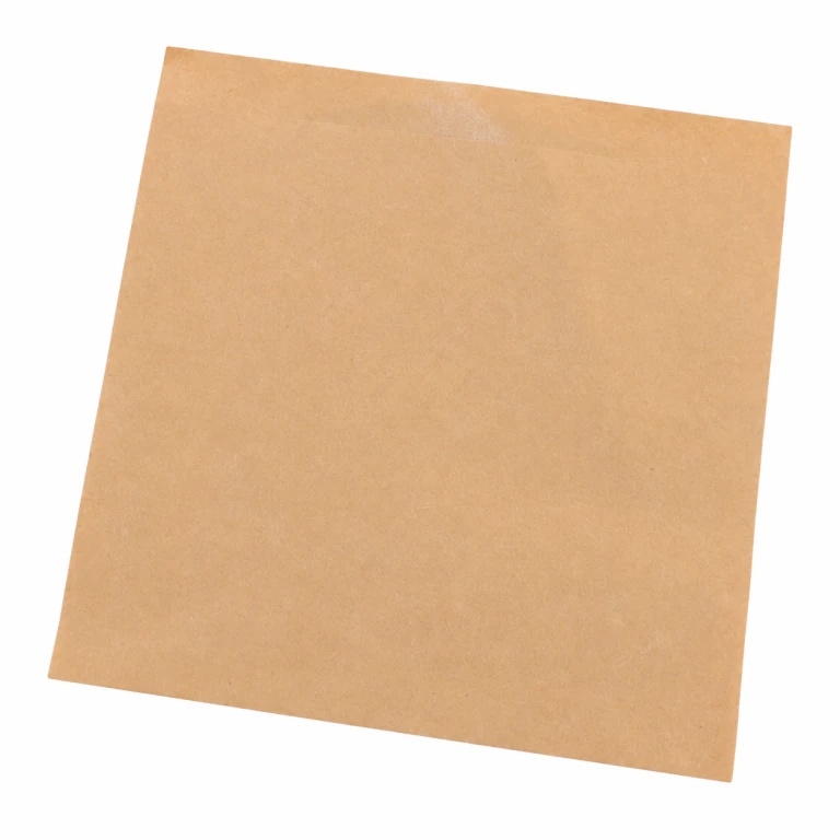 plain kraft-paper bag design