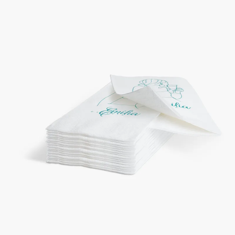 Napkin 2-Ply thumbnail 22
