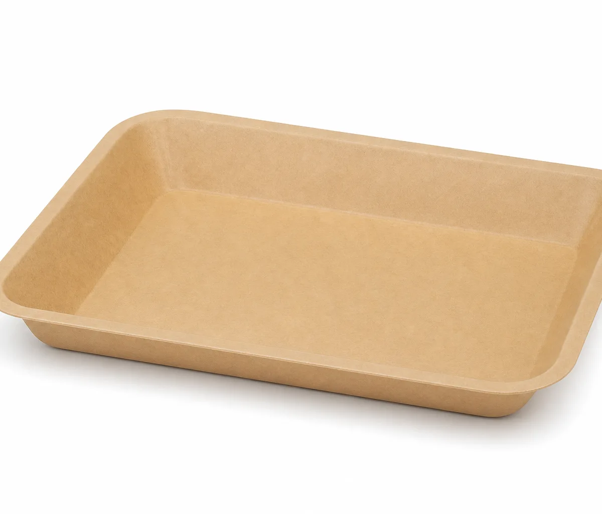 Laminated Paper Tray 250*175*23mm