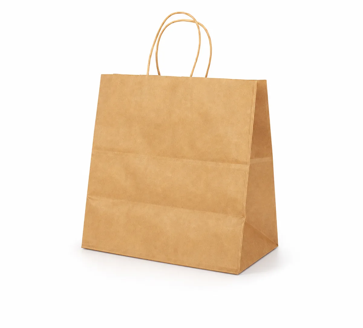 No. 1 Rear Carry Bag