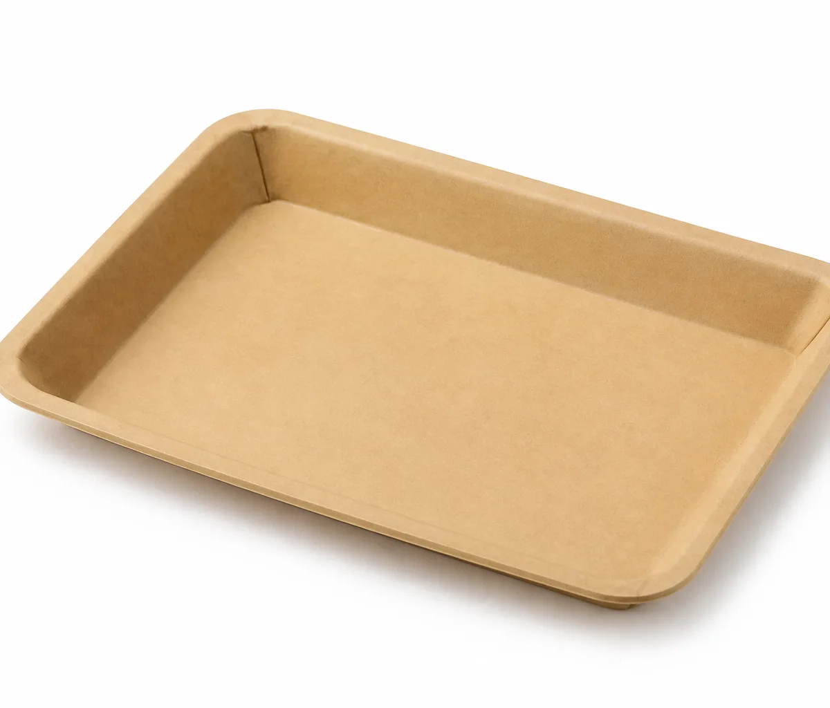 paper tray 1